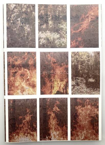 Peter Sutherland,FLAMES Peter Sutherland,FLAMES