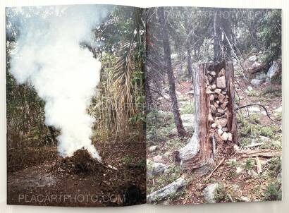 Peter Sutherland,FLAMES Peter Sutherland,FLAMES