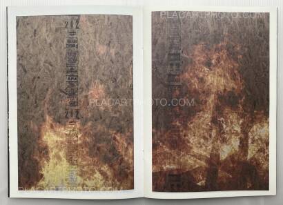 Peter Sutherland,FLAMES Peter Sutherland,FLAMES