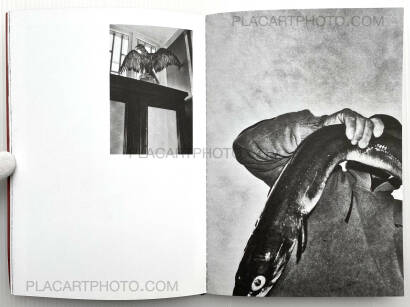 Jean-Marc Caimi & Valentina Piccinni,The Burning Plain Jean-Marc Caimi & Valentina Piccinni,The Burning Plain