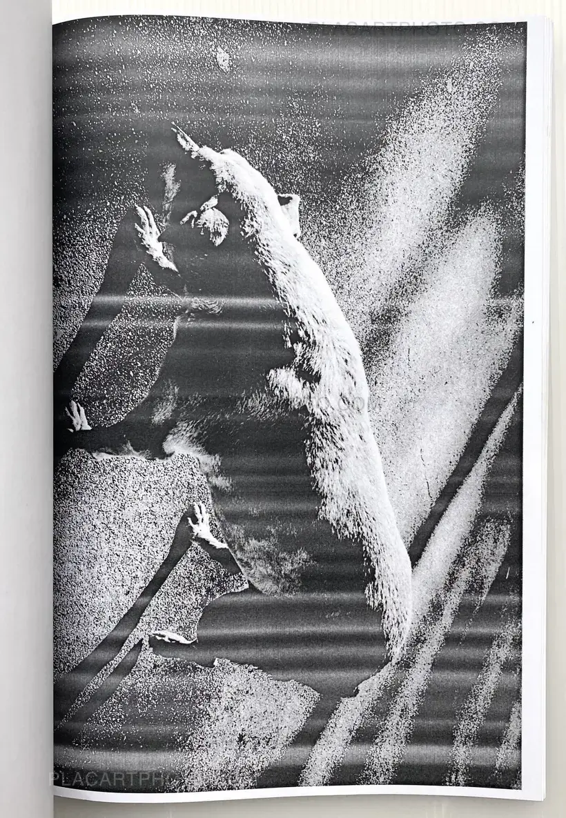 JF Chapp – Photocopied City -No.1 -2014