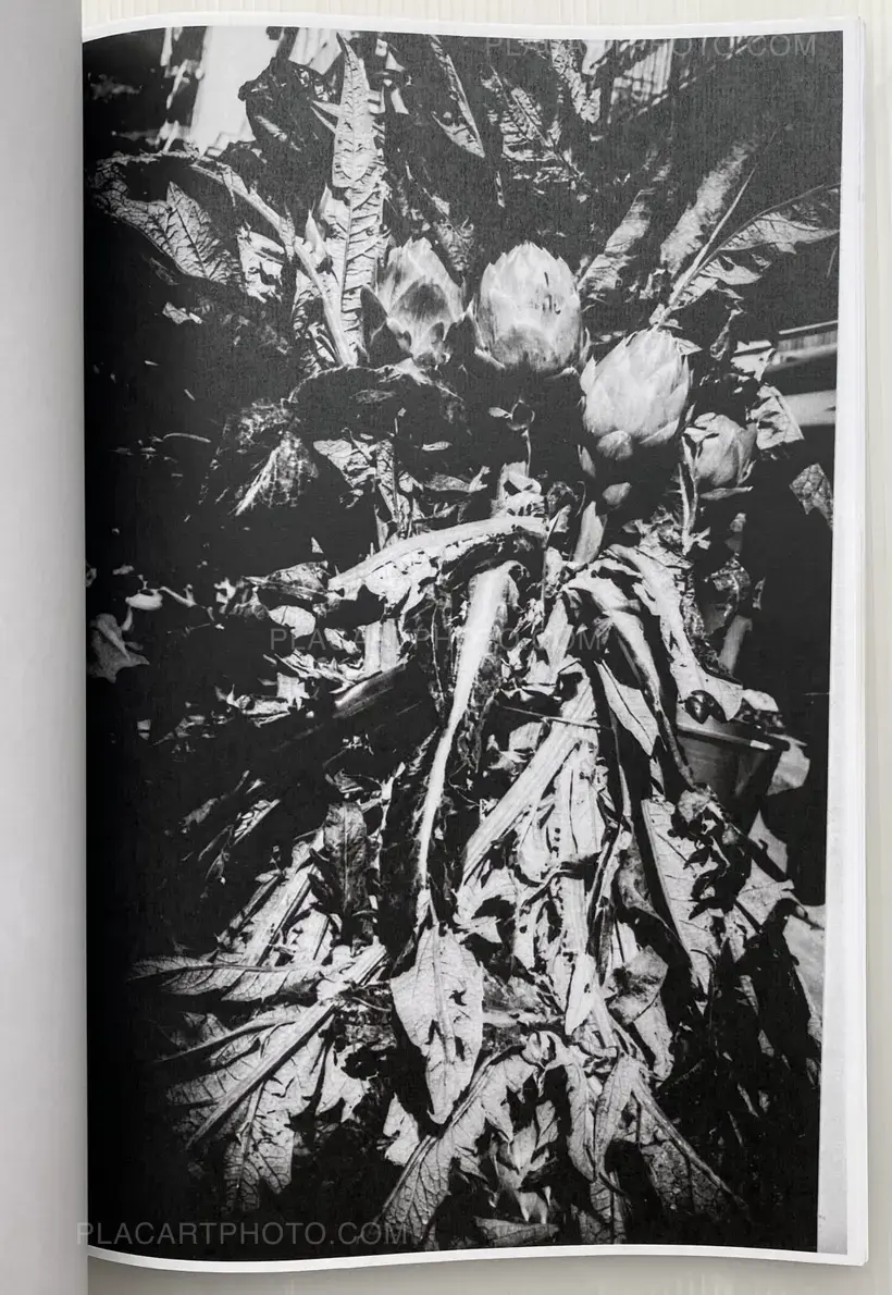 JF Chapp – Photocopied City -No.1 -2014