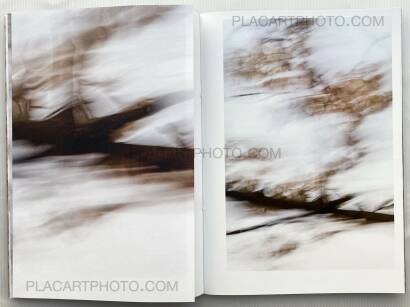 Yoshinori Mizutani,Sakura Yoshinori Mizutani,Sakura