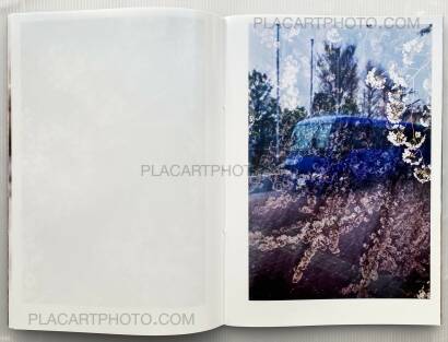 Yoshinori Mizutani,Sakura Yoshinori Mizutani,Sakura