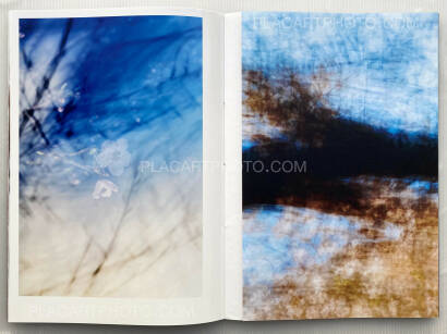 Yoshinori Mizutani,Sakura Yoshinori Mizutani,Sakura