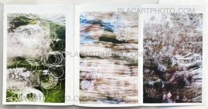 Yoshinori Mizutani,Sakura Yoshinori Mizutani,Sakura