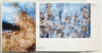 Yoshinori Mizutani,Sakura Yoshinori Mizutani,Sakura