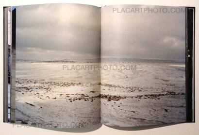 André Príncipe,Smell of tiger precedes tiger André Príncipe,Smell of tiger precedes tiger