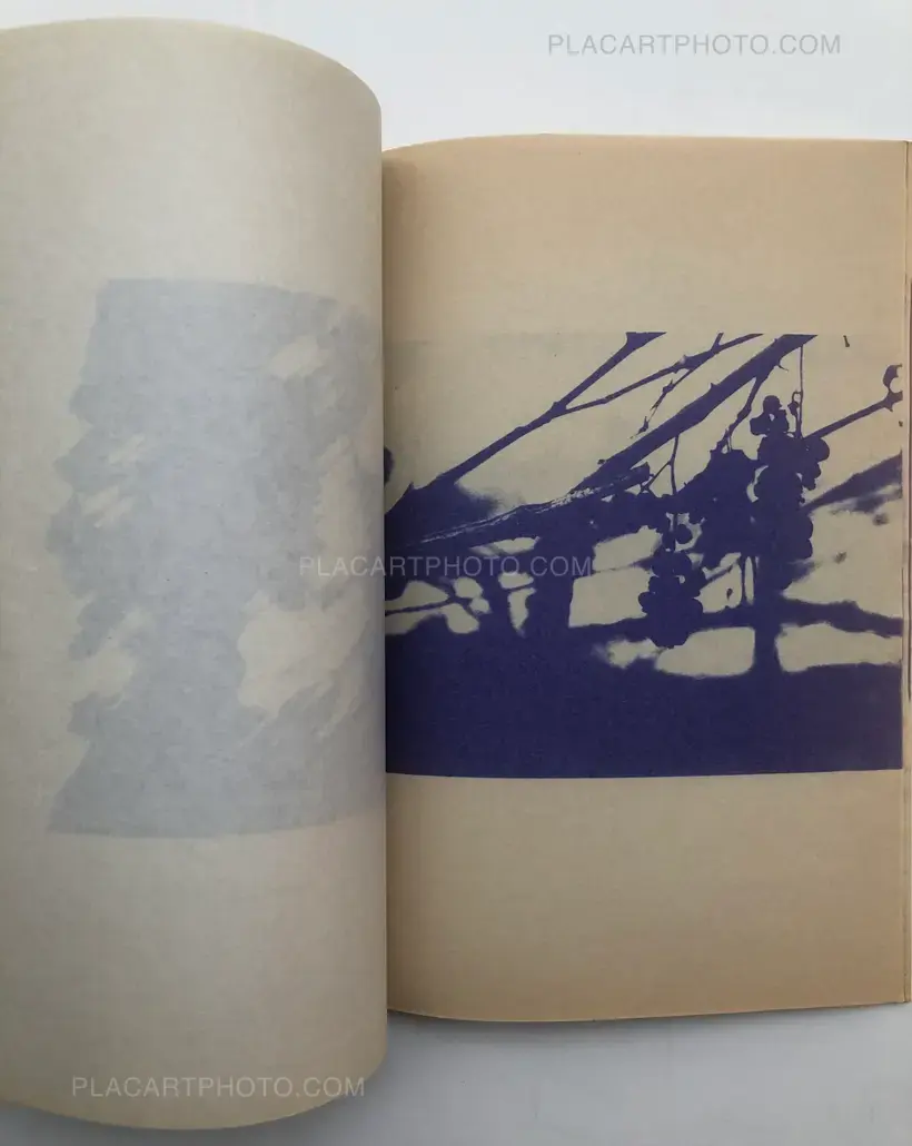 Collective – IN-SECT Vol.6