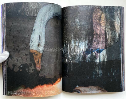 Ryu Ika,The Second Seeing (Signed copy) Ryu Ika,The Second Seeing (Signed copy)