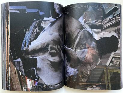 Ryu Ika,The Second Seeing (Signed copy) Ryu Ika,The Second Seeing (Signed copy)