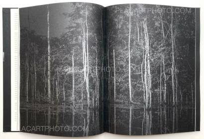 Elliott Verdier, REACHING FOR DAWN (Signed) Elliott Verdier, REACHING FOR DAWN (Signed)