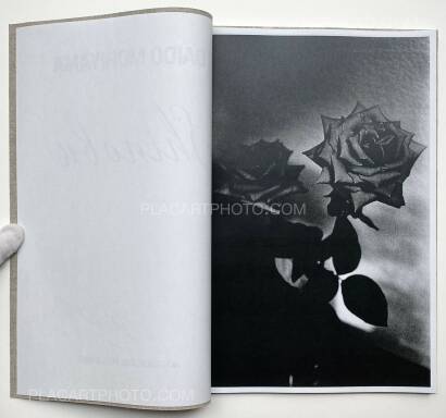 Daido Moriyama,Shinobu (Signed and numbered) Daido Moriyama,Shinobu (Signed and numbered)