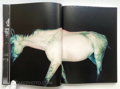 Gaël Bonnefon,Elegy for the Mundane Gaël Bonnefon,Elegy for the Mundane