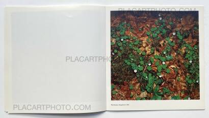 Manfred Willmann,Die Welt is schön Manfred Willmann,Die Welt is schön