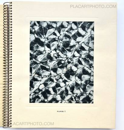 Laure Albin Guillot,MICROGRAPHIE DÉCORATIVE  Laure Albin Guillot,MICROGRAPHIE DÉCORATIVE