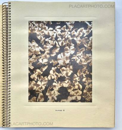 Laure Albin Guillot,MICROGRAPHIE DÉCORATIVE  Laure Albin Guillot,MICROGRAPHIE DÉCORATIVE