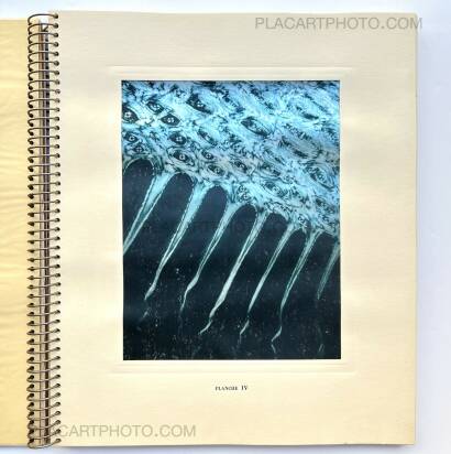 Laure Albin Guillot,MICROGRAPHIE DÉCORATIVE  Laure Albin Guillot,MICROGRAPHIE DÉCORATIVE