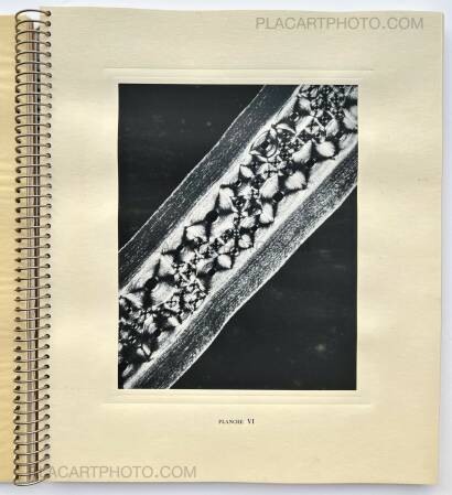 Laure Albin Guillot,MICROGRAPHIE DÉCORATIVE  Laure Albin Guillot,MICROGRAPHIE DÉCORATIVE