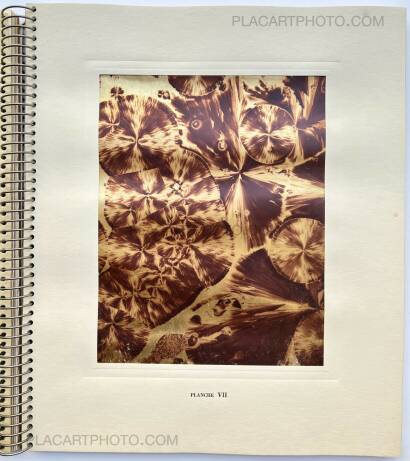 Laure Albin Guillot,MICROGRAPHIE DÉCORATIVE  Laure Albin Guillot,MICROGRAPHIE DÉCORATIVE