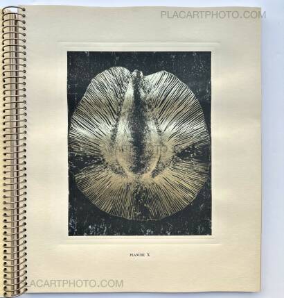 Laure Albin Guillot,MICROGRAPHIE DÉCORATIVE  Laure Albin Guillot,MICROGRAPHIE DÉCORATIVE