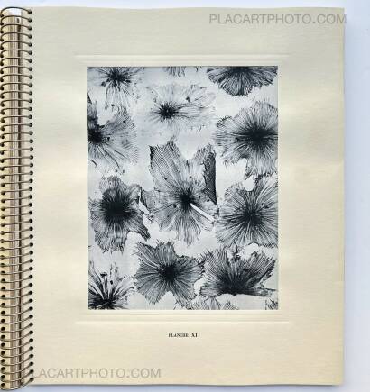 Laure Albin Guillot,MICROGRAPHIE DÉCORATIVE  Laure Albin Guillot,MICROGRAPHIE DÉCORATIVE