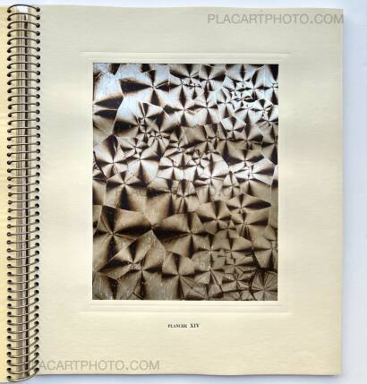 Laure Albin Guillot,MICROGRAPHIE DÉCORATIVE  Laure Albin Guillot,MICROGRAPHIE DÉCORATIVE