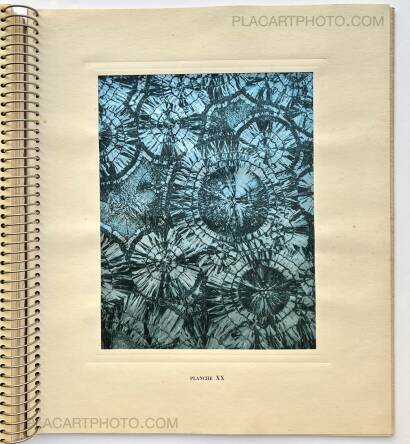 Laure Albin Guillot,MICROGRAPHIE DÉCORATIVE  Laure Albin Guillot,MICROGRAPHIE DÉCORATIVE