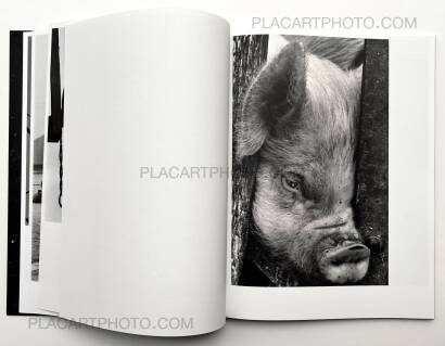 Masahisa Fukase,KILL THE PIG Masahisa Fukase,KILL THE PIG