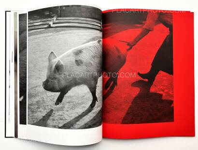 Masahisa Fukase,KILL THE PIG Masahisa Fukase,KILL THE PIG