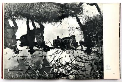 Various photographers,Guerre morte Various photographers,Guerre morte