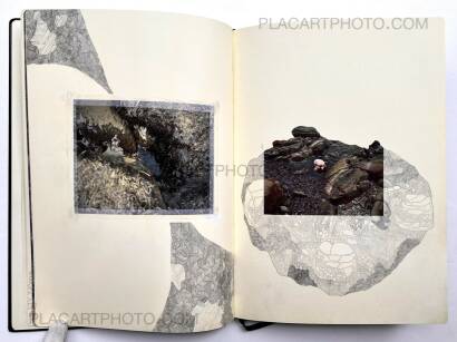 Sara Skorgan Teigen,Fractal State of Being (Sealed Copy) Sara Skorgan Teigen,Fractal State of Being (Sealed Copy)