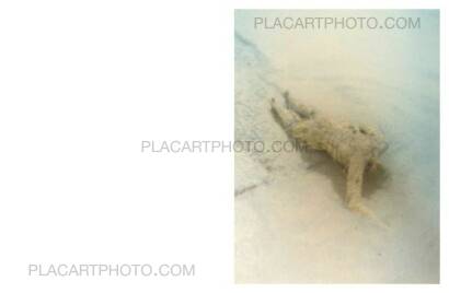 Martin Bogren,Passenger (Special Edition 29/30) Martin Bogren,Passenger (Special Edition 29/30)