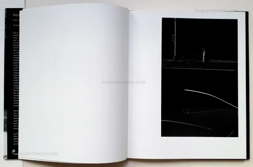 Ray K. Metzker – City Stills