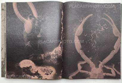 Joan Fontcuberta ,MICTLÁN (SPECIAL EDT /100 SIGNED) Joan Fontcuberta ,MICTLÁN (SPECIAL EDT /100 SIGNED)