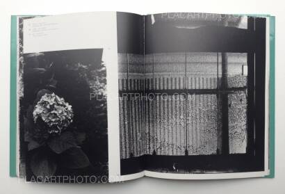 Daido Moriyama,Lettre à St. Lou Daido Moriyama,Lettre à St. Lou