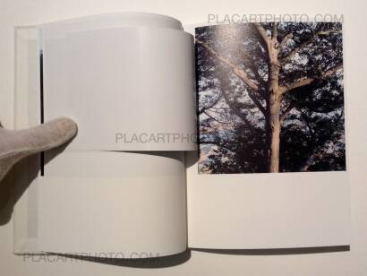 Rinko Kawauchi,Light & Shadow Rinko Kawauchi,Light & Shadow