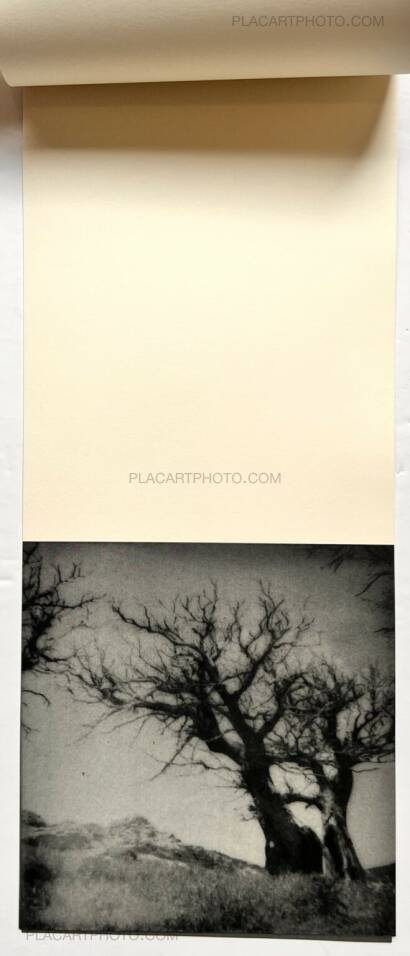 Dimitra Dede,ÁPEIRON (EDT OF 150 SIGNED) Dimitra Dede,ÁPEIRON (EDT OF 150 SIGNED)