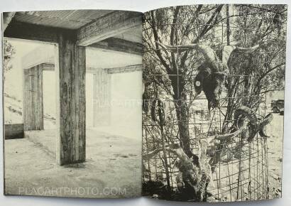 Kingsley Ifill,Dilemna (Signed Edt of 100) Kingsley Ifill,Dilemna (Signed Edt of 100)