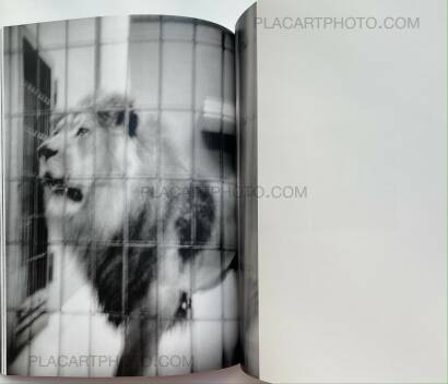 Lorenzo Castore,LACK & LONGING Lorenzo Castore,LACK & LONGING