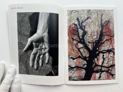 Ed Templeton,Coming to Grips Ed Templeton,Coming to Grips