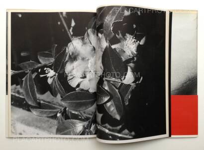 Nobuyoshi Araki,Shashin-Ron Nobuyoshi Araki,Shashin-Ron