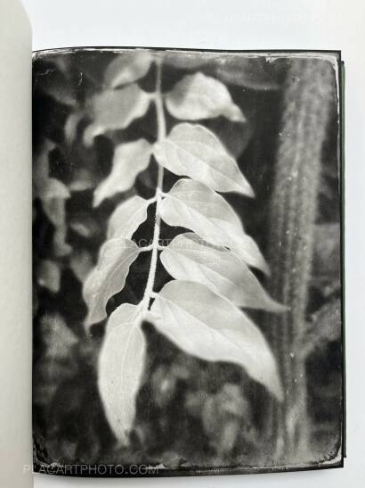 Pia Elizondo,Jardin (EDT OF 5 COPIES) Pia Elizondo,Jardin (EDT OF 5 COPIES)