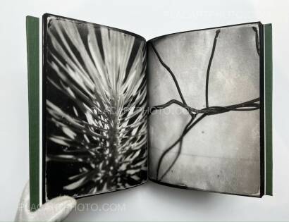 Pia Elizondo,Jardin (EDT OF 5 COPIES) Pia Elizondo,Jardin (EDT OF 5 COPIES)