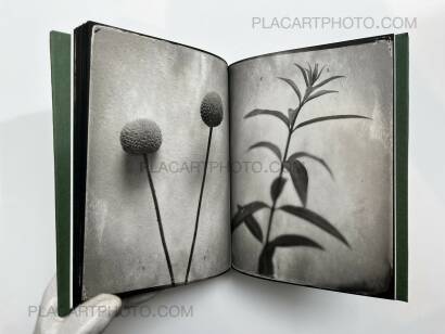 Pia Elizondo,Jardin (EDT OF 5 COPIES) Pia Elizondo,Jardin (EDT OF 5 COPIES)