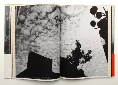 Nobuyoshi Araki,Shashin-Ron