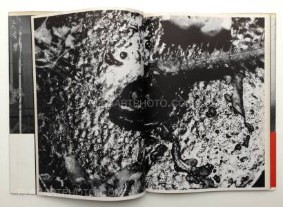 Nobuyoshi Araki,Shashin-Ron Nobuyoshi Araki,Shashin-Ron