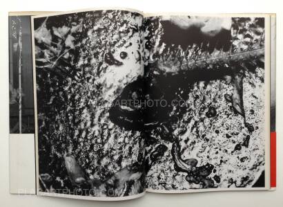 Nobuyoshi Araki,Shashin-Ron