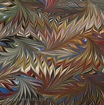 Veronica Mecchia,Wild Flower (with print !Signed and numbered) Veronica Mecchia,Wild Flower (with print !Signed and numbered)