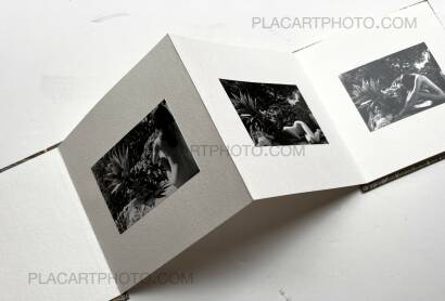 Veronica Mecchia,Wild Flower (with print !Signed and numbered) Veronica Mecchia,Wild Flower (with print !Signed and numbered)